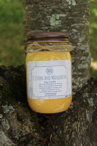 Citron and Mandarin Soy Candle